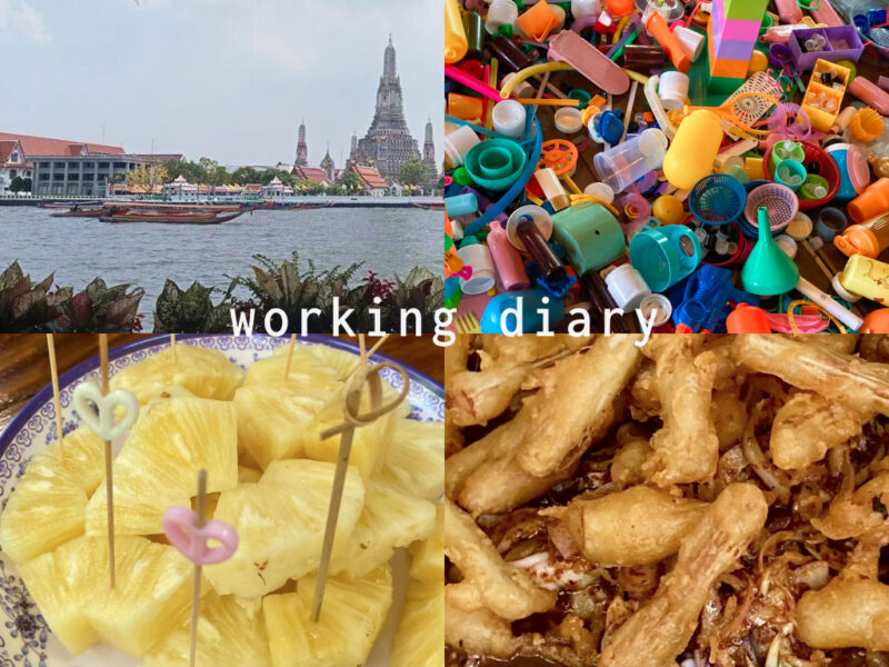 Working Diary: เมื่อฉันได้เรียนรู้เรื่องไทย ๆ ผ่านการทำงานในบริษัทของคนญี่ปุ่น