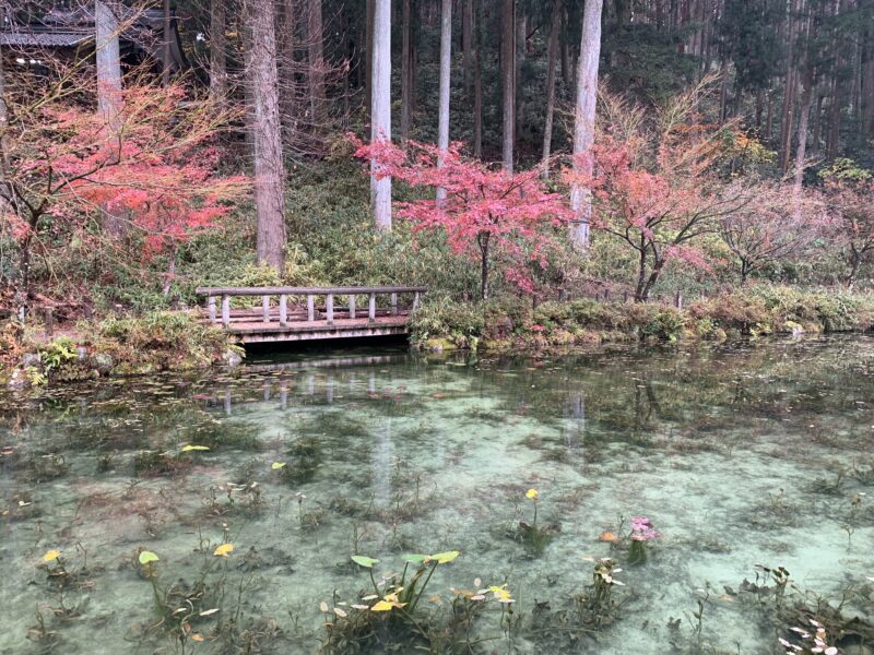 บ่อน้ำโมเนต์ งดงามราวกับภาพวาด