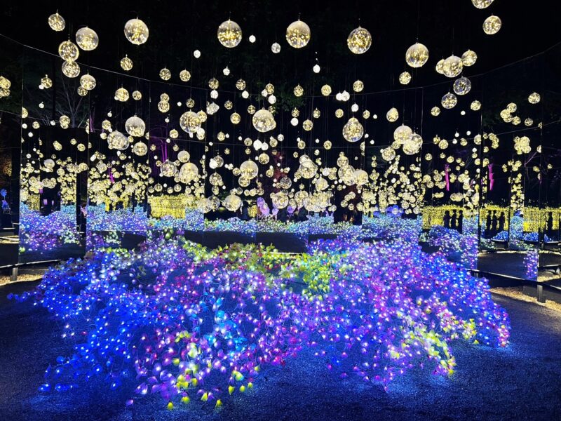 光の祭典 Nasatta Light Festival Part2