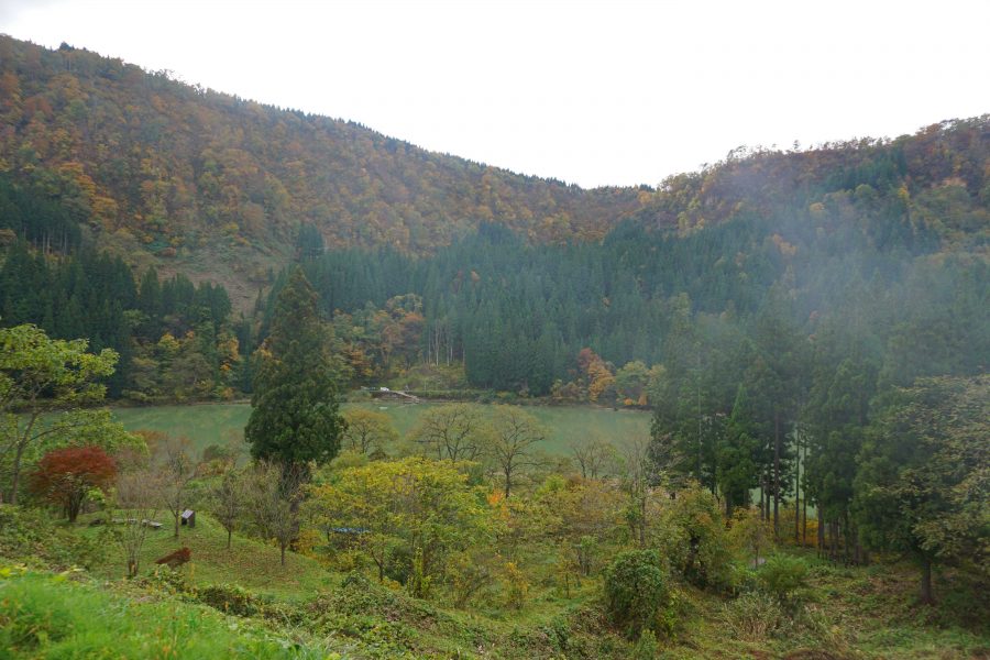 หยาดฝนโปรยปรายในหัวใจ หลังพายุพัดผ่าน