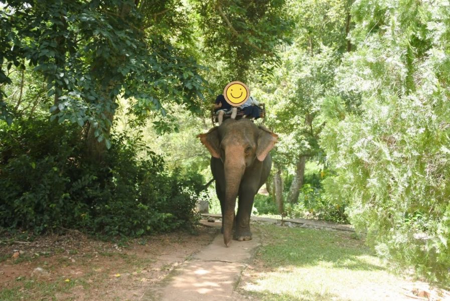 カオヤイで遊ぼう