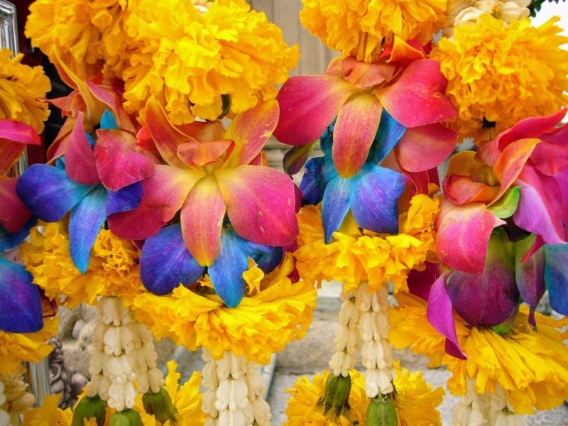 タイとの出会い２