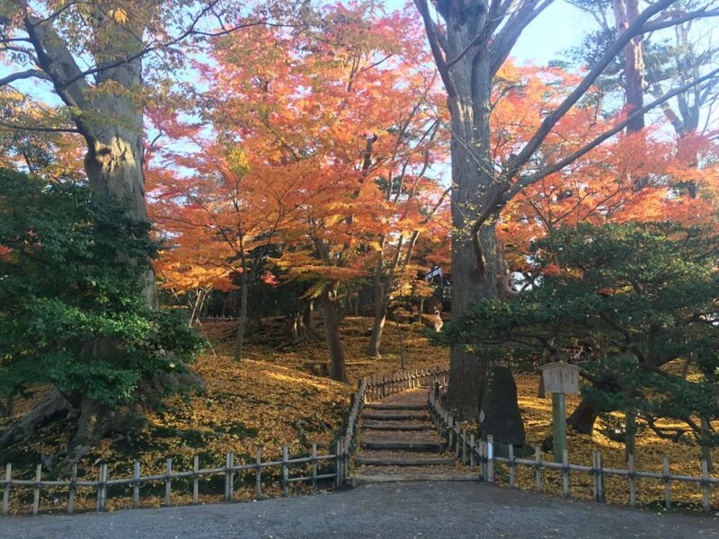 ชมใบไม้เปลี่ยนสีในสวนที่สวยที่สุดในญี่ปุ่น!