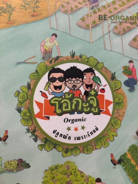 野菜が最高 OHKAJHU