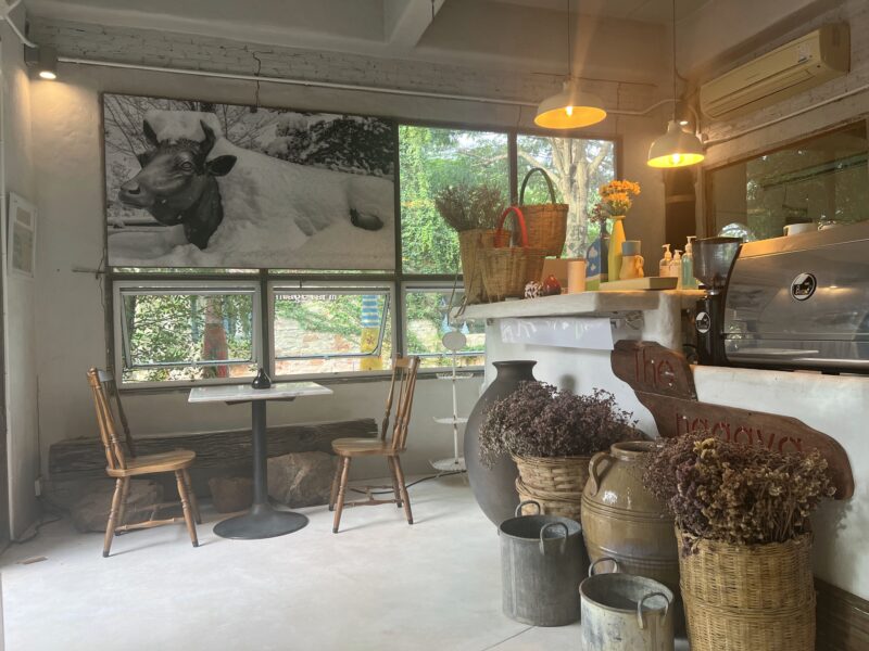 スワンプンの旅その２