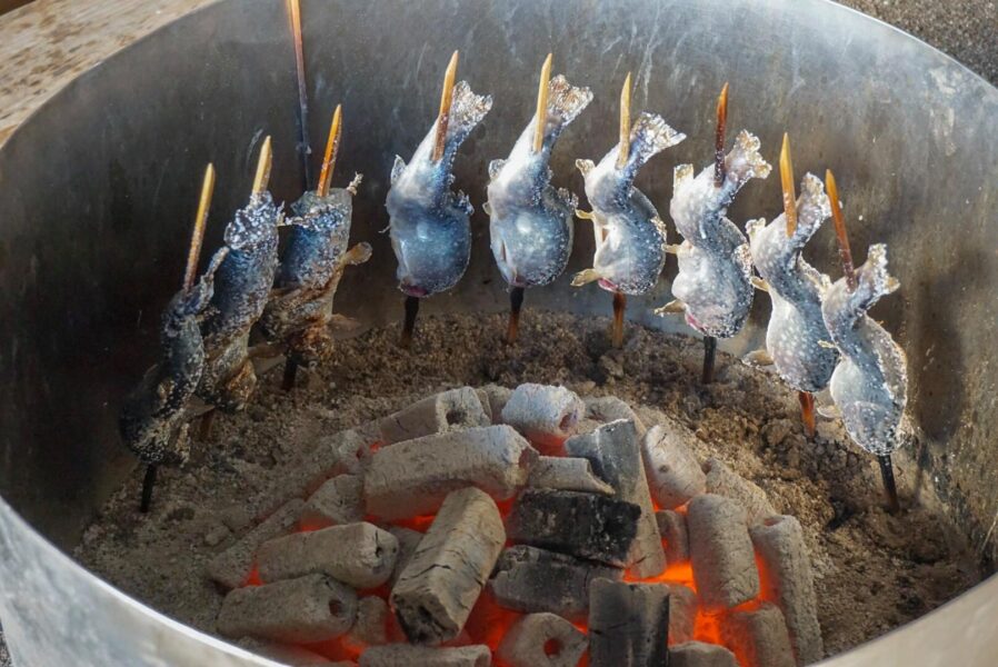 ปลาอิวานะราชาสายธารแห่งภูเขา