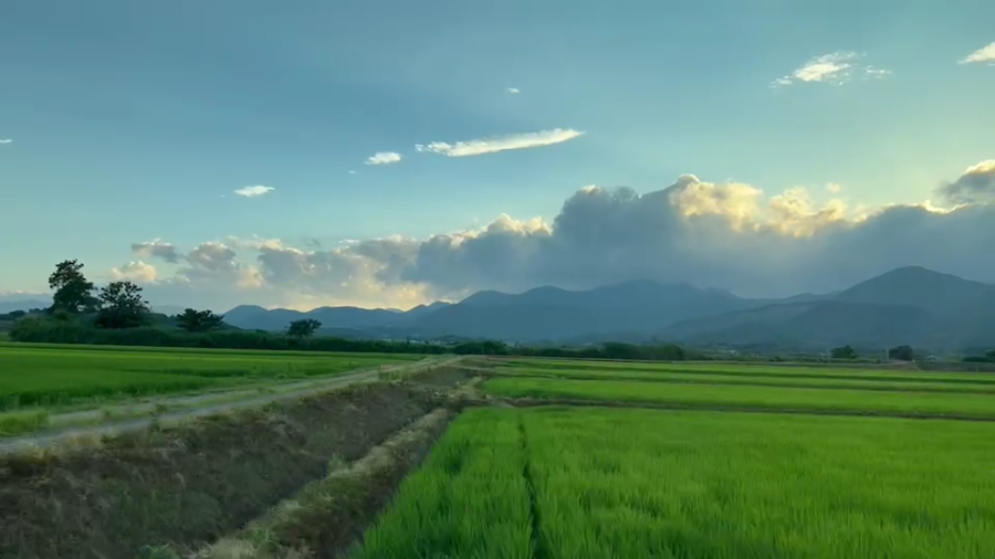 Summer Vibe ((ว้าย)) in Fukushima ตอนที่ 3