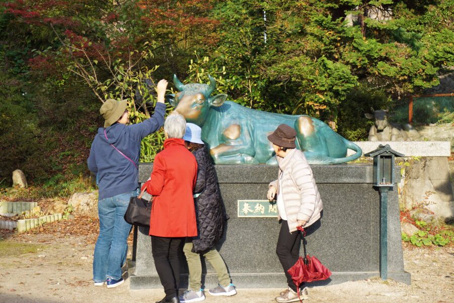 ตามหาวัวแดง สัญลักษณ์และตัวแทนแห่งฟุกุชิมะ