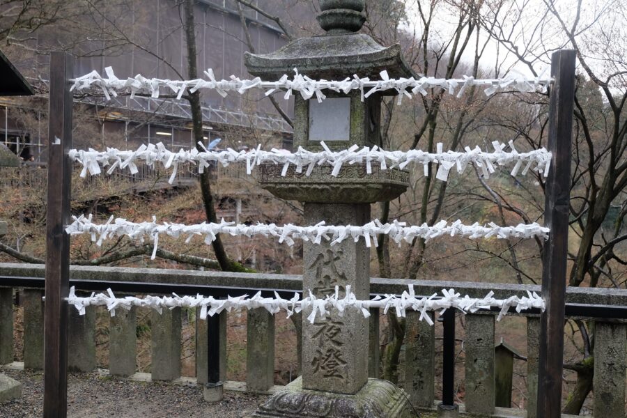 ให้ “โอมิกุจิ” ทำนายกัน!