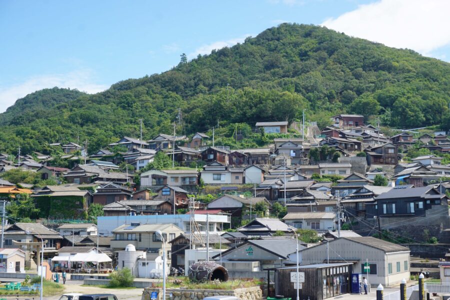 ตะลุยเกาะยักษ์และเกาะแมว ตอนที่ 2