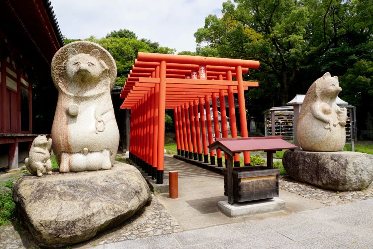 ทานูกิผู้พิทักษ์แห่งวัดยาชิมะ