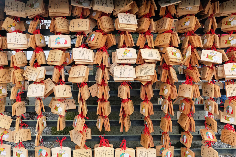 มะมา มาขอพรด้วย “เอมะ” ไปด้วยกัน!